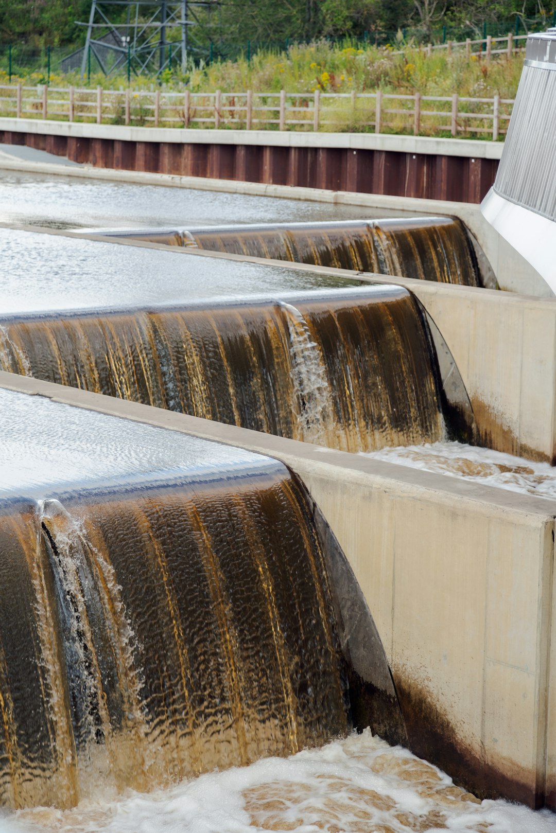 Could co-operatives save Britain’s broken water companies?